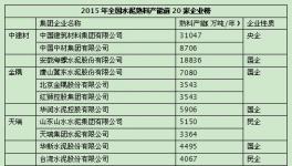 國(guó)進(jìn)民退 造就國(guó)企水泥龍頭
