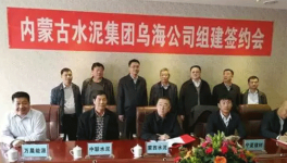 冬去春來，水泥企業(yè)“抱團取暖”，是要干啥