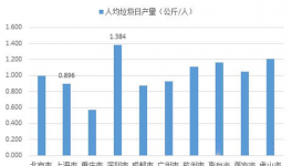 雄安新區(qū)水泥窯協(xié)同處置應(yīng)有可為