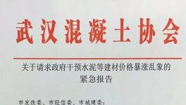 協(xié)會發(fā)文:請求政府干預(yù)水泥價格暴漲亂象！(附文件)