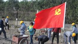 寧波海螺水泥公司黨員突擊隊 “造綠色廠區(qū)，建美麗企業(yè)”