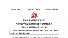 上峰水泥生產(chǎn)副總等四人被公安局立案并采取刑事強制措施
