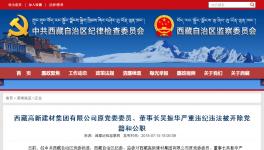 大搞權錢色交易!私分國有資產!這家水泥集團原董事長被雙開!