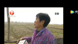 該地區(qū)農(nóng)田整治被揭搞豆腐渣工程，混凝土一捏粉粉碎！