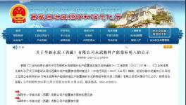 又一條新建水泥產(chǎn)能將落地！