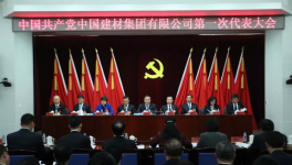 中國(guó)建材集團(tuán)有限公司召開第一次黨員代表大會(huì)