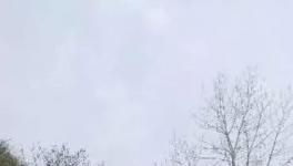 這家水泥廠破壞青山、污染環(huán)境何時休？