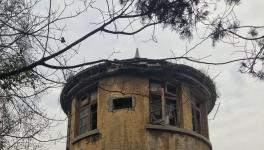 江南水泥廠被指保護(hù)不力，回應(yīng)稱(chēng)原因復(fù)雜