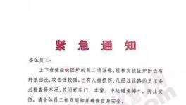 狼來(lái)了！這家水泥廠已有員工被抓傷！
