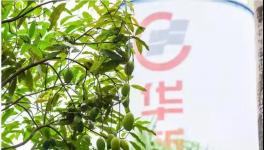 人與自然和諧相處！水泥廠迎來(lái)神秘訪客！