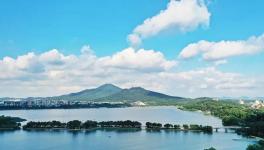 緊急通知！8月15日起推動(dòng)部分水泥企業(yè)退出！9月起實(shí)施階段性停產(chǎn)！