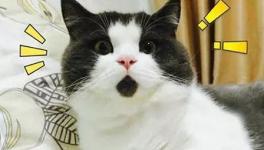美！太美了！這些花園水泥廠您去過嗎！