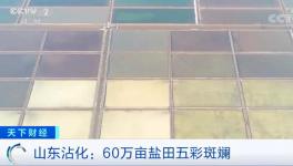 1噸海水超千元！廢料還能造水泥！