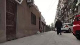 路面?zhèn)z月沒凝固，新鋪水泥路變“豆腐渣路”！