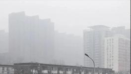 停工停產(chǎn)一個(gè)月！霧霾還是爆表！3000多家水泥企業(yè)“冤不冤”?