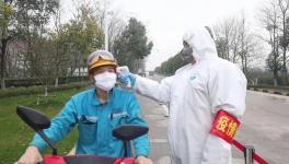 視頻：無人駕駛調(diào)試、大型設(shè)備組裝......蕪湖海螺復(fù)產(chǎn)！