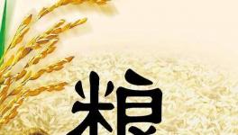 全球糧食市場(chǎng)異動(dòng)，每個(gè)人都要提前應(yīng)對(duì)了！