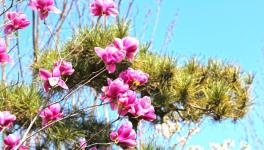 復工復產(chǎn)進行時：詩韻畫卷里的洛陽中聯(lián)！