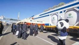 東北海運(yùn)通道打開(kāi)，水泥、熟料“高速運(yùn)輸”直達(dá)山東！