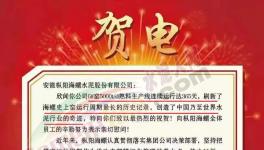 又是海螺水泥！創(chuàng)造世界水泥行業(yè)奇跡！