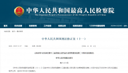 中華人民共和國(guó)刑法修正案（十一）