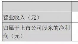 天山股份年報(bào)：2020年實(shí)現(xiàn)凈利潤15.16億元！
