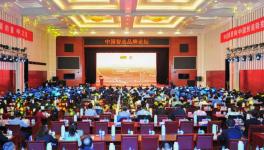 中建材在全球承接379條水泥生產(chǎn)線、市場占有率超過65%！