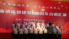 山水水泥集團(tuán)子公司頌黨百年華誕！