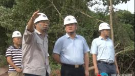 南方水泥上半年營收3.65億元！新項目推進(jìn)中！