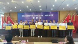 銅陵上峰:連續(xù)9年上榜“地方企業(yè)50強(qiáng)”！