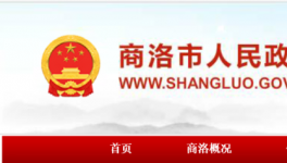 村民反映水泥路和泥巴一樣，政府回復了！