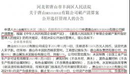 冀東水泥旗下公司破產清算！選聘專業(yè)機構