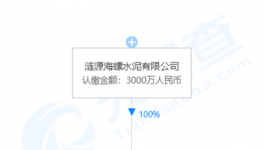 加速收購！海螺水泥在下一盤大棋！