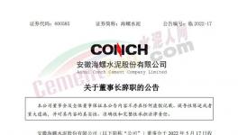 海螺水泥公告：王誠不再擔(dān)任公司法定代表人！