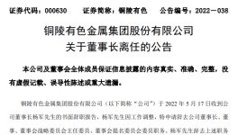 中國銅工業(yè)板塊第一股董事長辭職，下一站海螺集團！