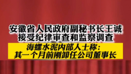 立案！海螺、華新、華潤等多位高管被查！