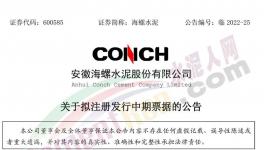 海螺水泥擬發(fā)行不超100億票據(jù)！