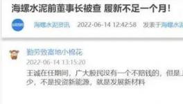 海螺蒸發(fā)1300億，逾700億元投資或存變數(shù)！