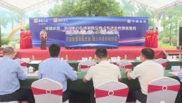 ?總投資額4775萬元！華潤水泥光伏項(xiàng)目開工?！