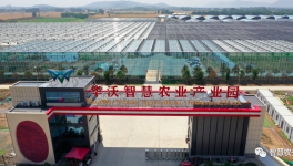 巧用水泥余熱，工業(yè)轉(zhuǎn)型反哺農(nóng)業(yè)！