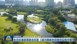 環(huán)保政策加嚴(yán)！氨逃逸不超標(biāo)這些企業(yè)做到了！