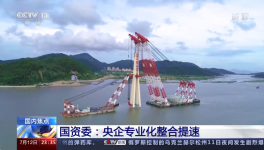 央視新聞報(bào)道：中國(guó)建材專業(yè)化整合成效經(jīng)驗(yàn)交流！