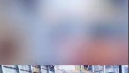 殺公雞！開窯！水泥廠“辟邪”！
