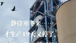 全停！最長200天！20個(gè)省水泥廠停產(chǎn)！