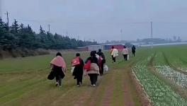 反撲！多省工地停工！水泥廠停發(fā)！商混站“告急”！