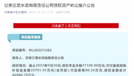 公告！多家水泥廠被賣！