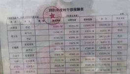 工資曝光！村長(zhǎng)“秒殺”水泥廠(chǎng)高管！