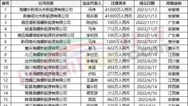 瘋狂！“上下”通吃！海螺連續(xù)成立50多家公司！