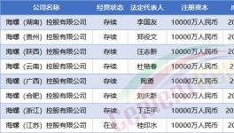 大動(dòng)作！中建材、海螺、紅獅成立35家新公司！