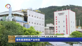 海螺水泥兩家工廠同一天都上電視啦！